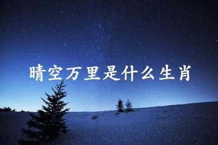 一月四号是哪个星座