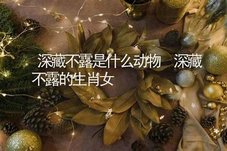 12月22日是什么星座阳历