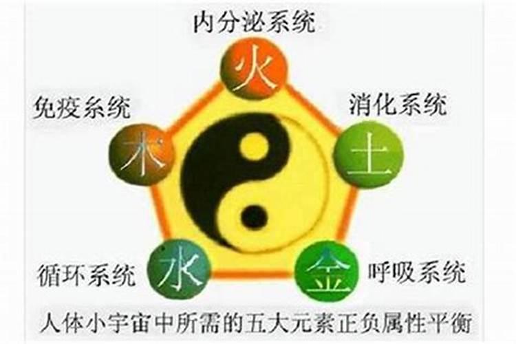 梦见摘杨梅是什么意思周公解梦