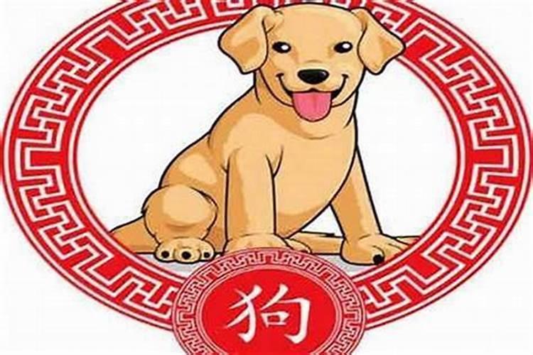 22岁是属什么的生肖是鸡年