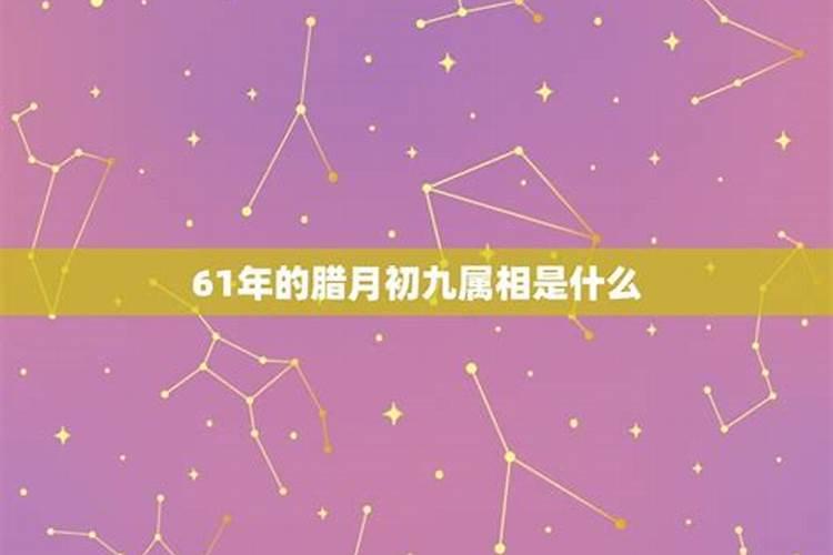 阳历三月九日是什么星座