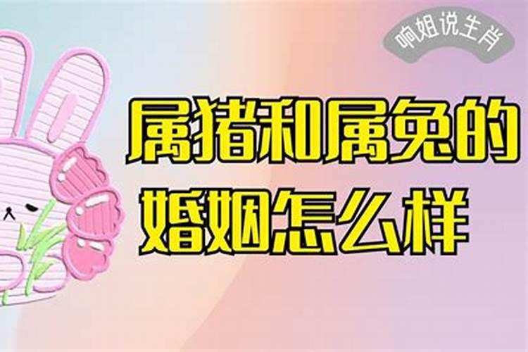 2023年适合结婚的生肖有哪些属相女