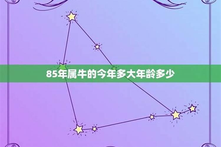 9.10日出生什么星座