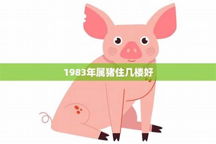 今年35岁属什么生肖虚岁呢