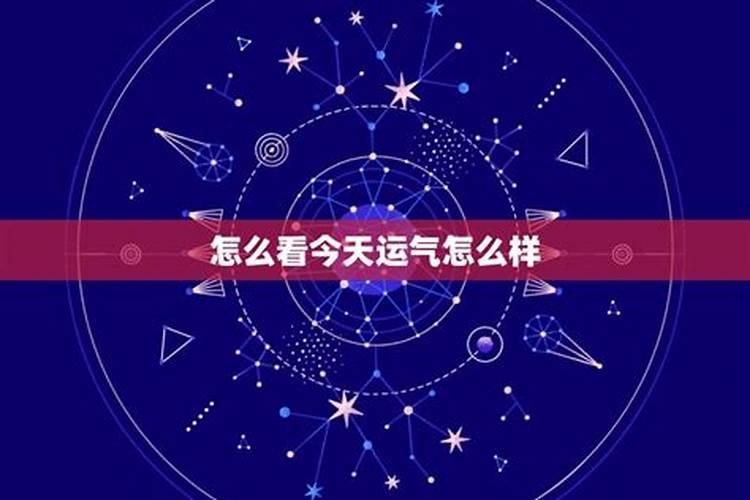 梦见苍蝇什么意思啊周公解梦