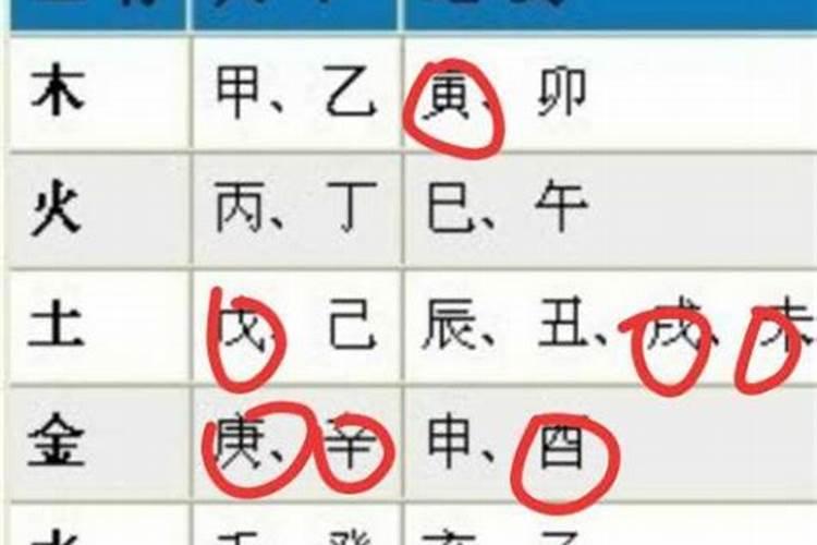 兔和虎属相合不合适