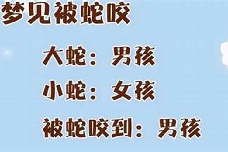 31属什么生肖属相属什么