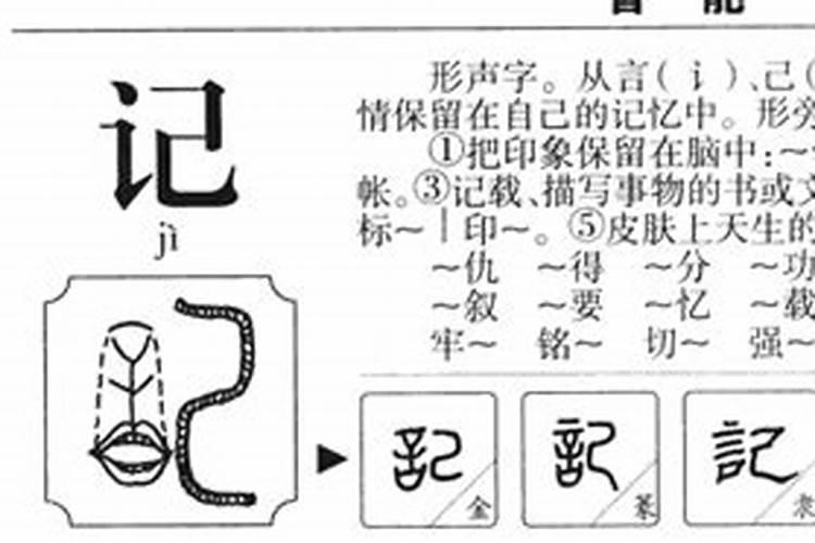 96年属鼠的今年财运怎么样