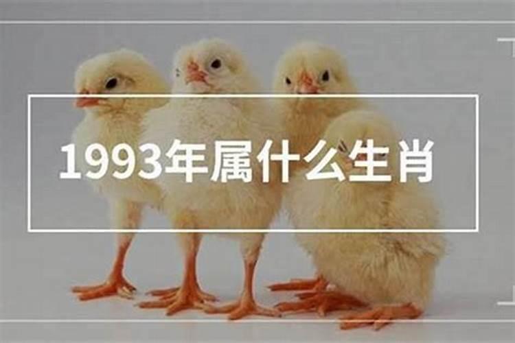 生辰八字带官印什么意思呢女孩