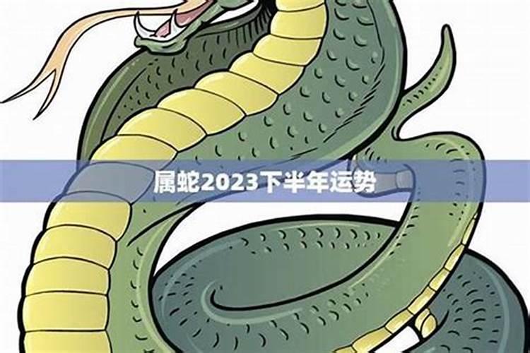 属蛇的人2023年运势及运程