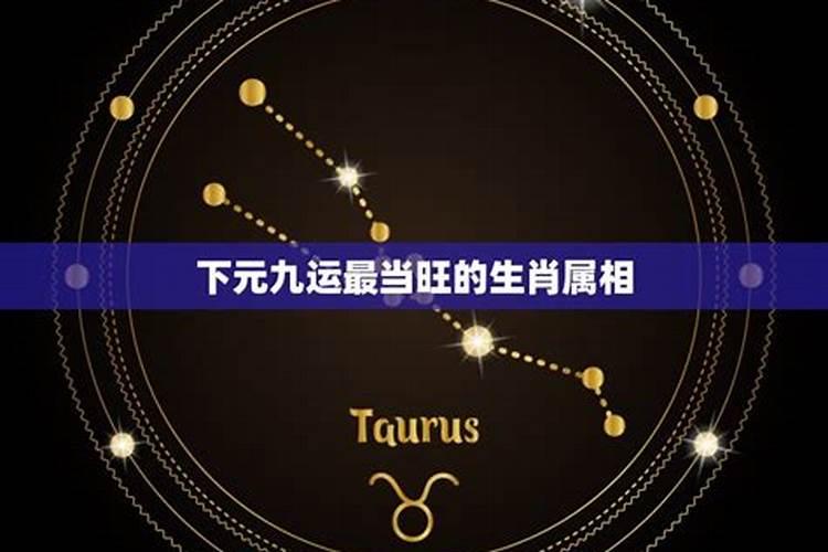 农历2月13是什么星座