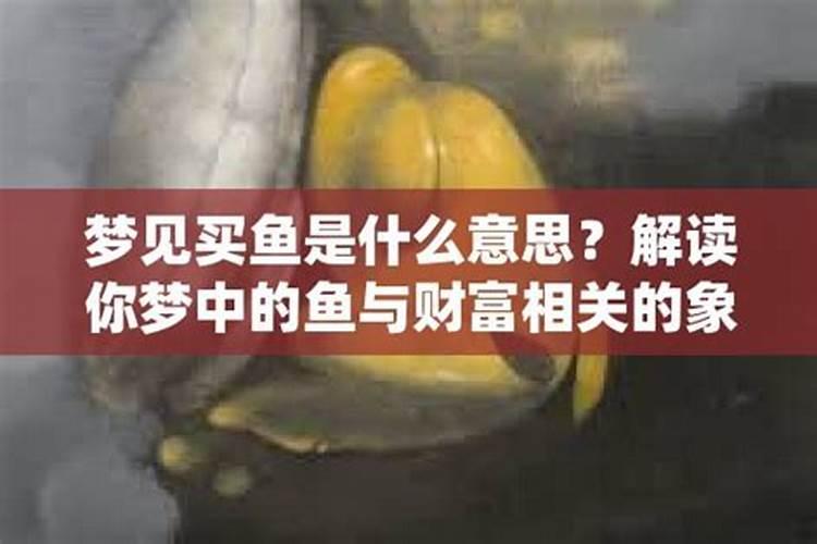 梦到买鱼是什么意思啊