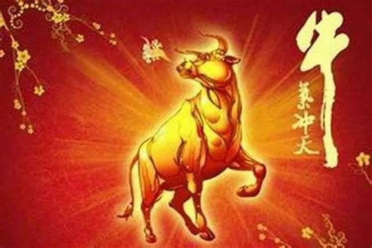 88年属什么的生肖今年多大