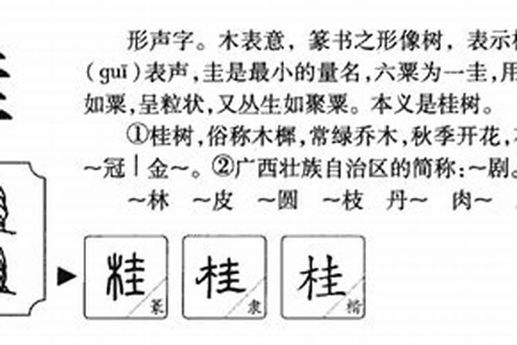 桂字五行属什么吉凶属性