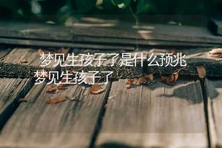 菊字五行属什么和意义取名