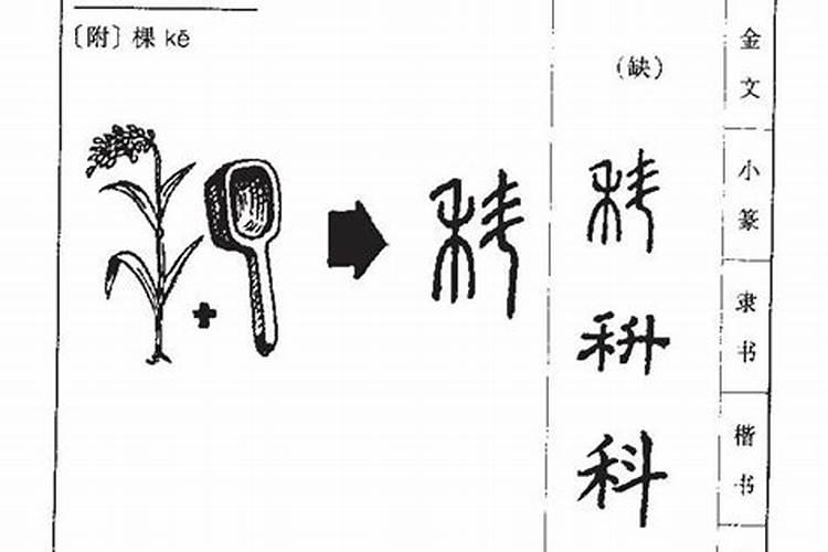 梦见捡到弃婴是什么意思呢