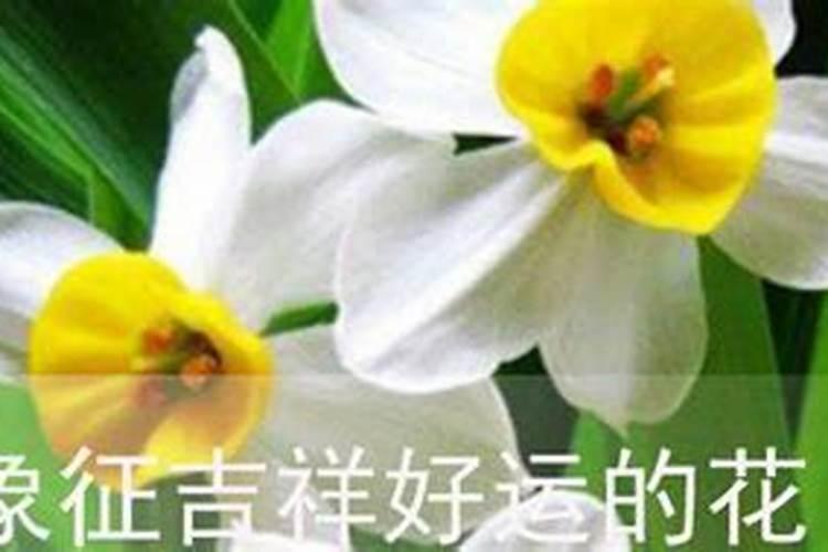 5月30是什么星座