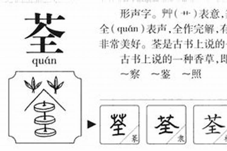 八字癸未是什么意思