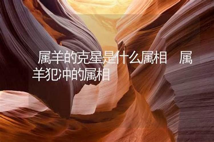 双子座什么星象属相