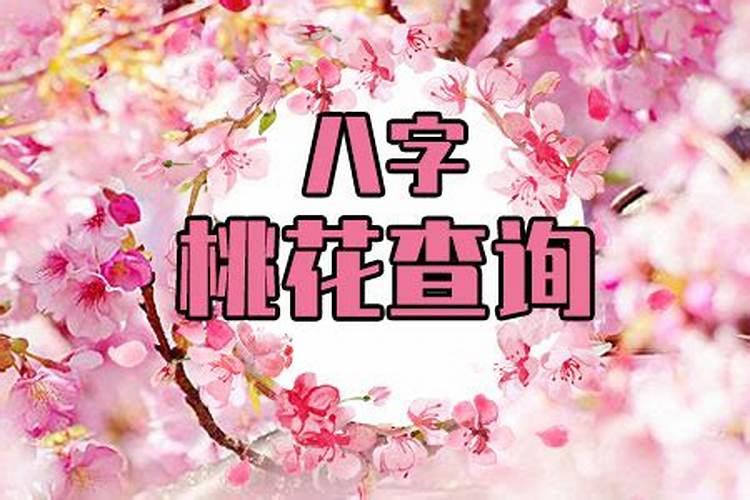 人面桃花指什么生肖