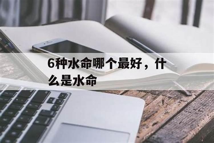 林心如表示什么生肖