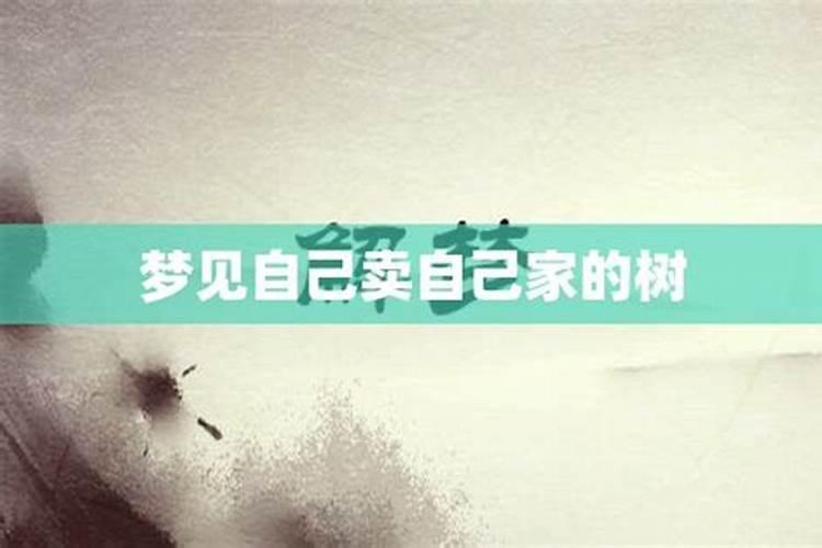 刚分手梦到怀孕了是什么意思