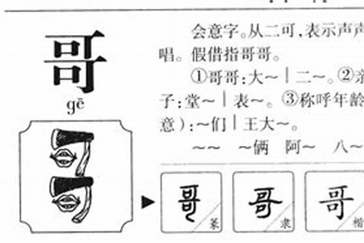 梦见修桥加宽