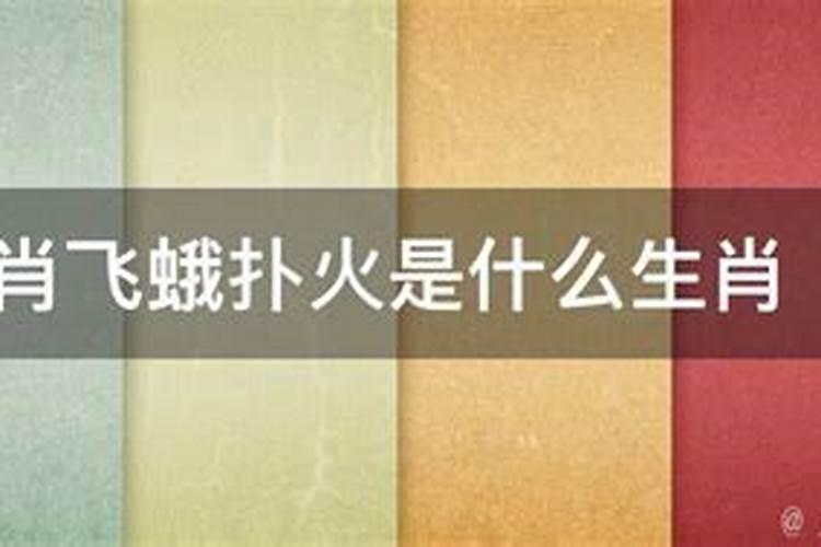 1992年2023年属猴人的全年运势