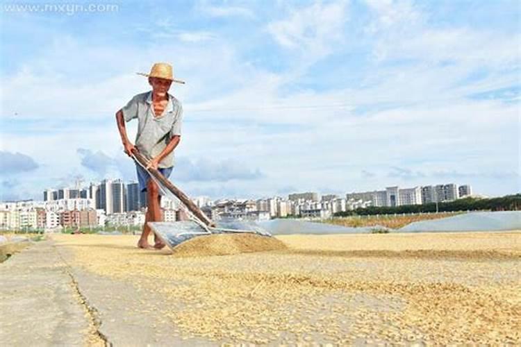 梦见跟老公又办一次结婚仪式啥意思