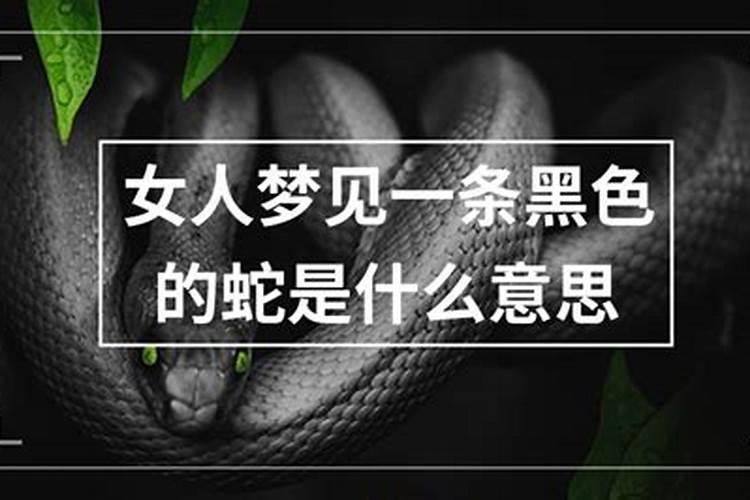 梦见被两匹马追是什么意思