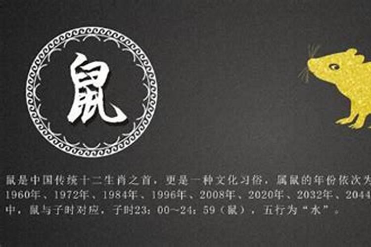 2000年1128是什么星座