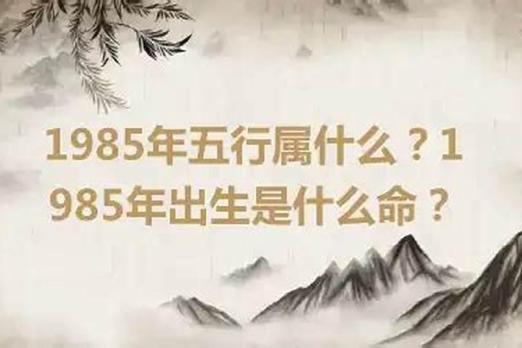 狮子为什么迷恋金牛座