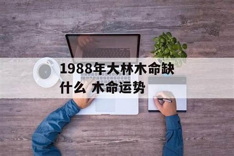 梦到参加比赛第一名