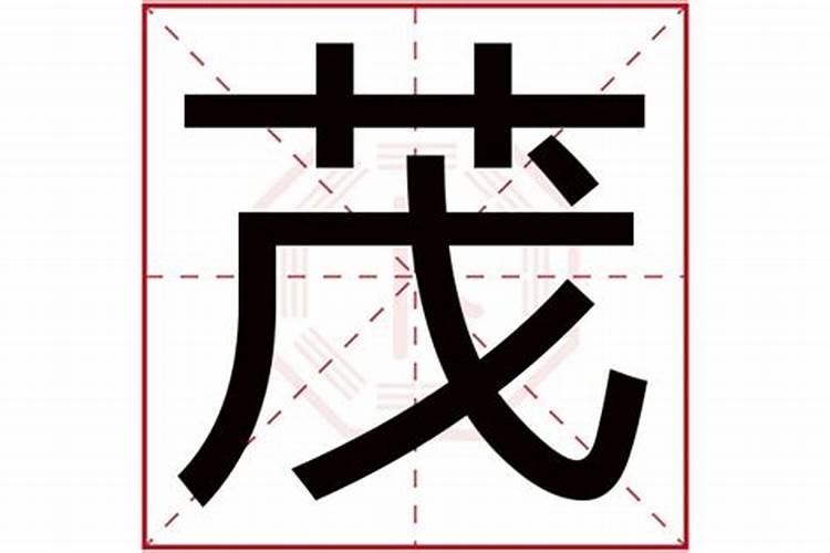 1982年农历8月初8是什么星座