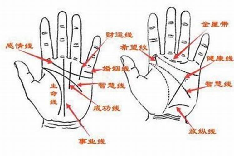 梦见龙卷风吹破玻璃