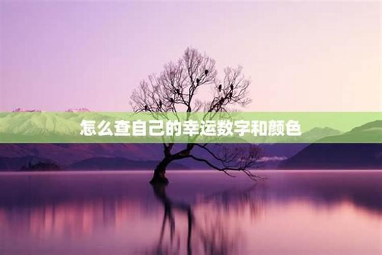 梦见湖水特别清澈风景很美什么意思