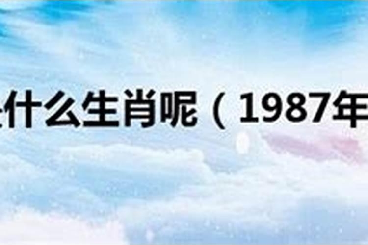 90年属马十二月出生好吗