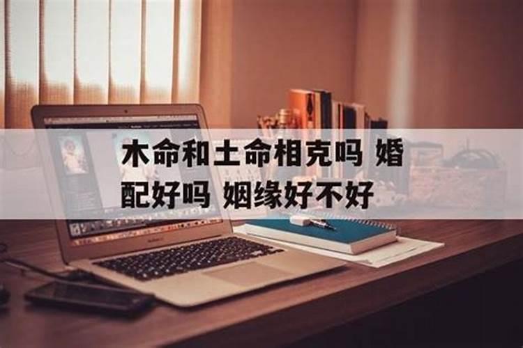 梦见吃羊脑子什么意思