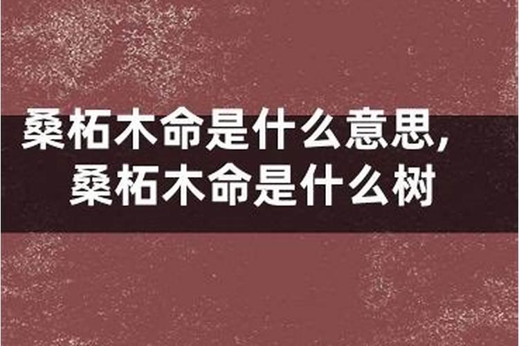 今年三岁属相