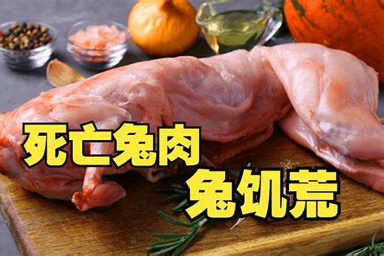 梦见吃兔子肉什么征兆