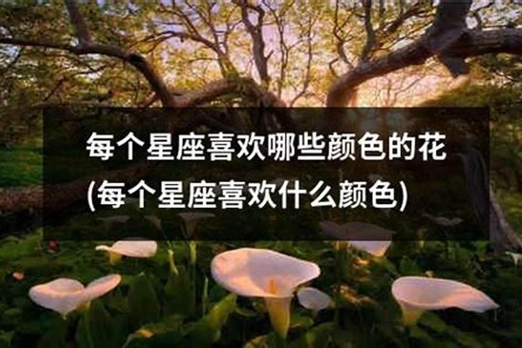 中秋开什么生肖的花