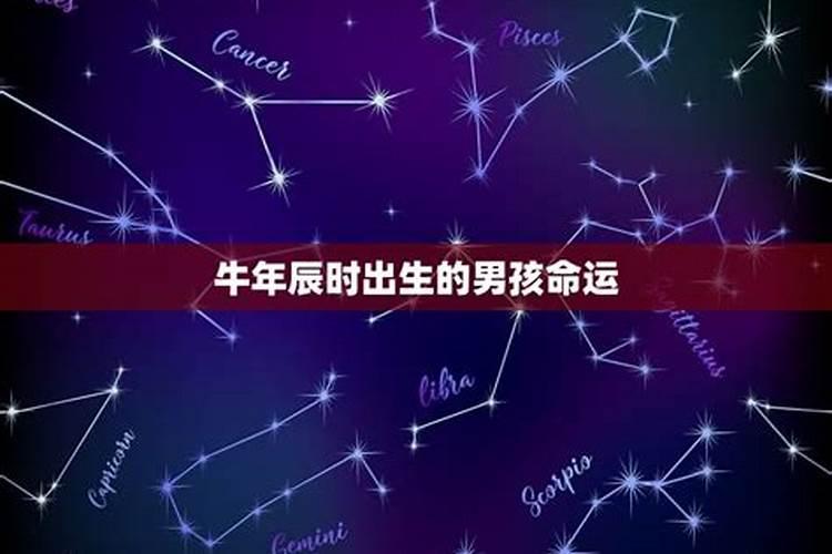 3.30什么星座