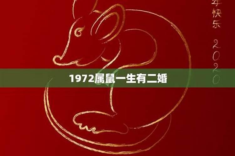 72年属鼠50岁后命运身