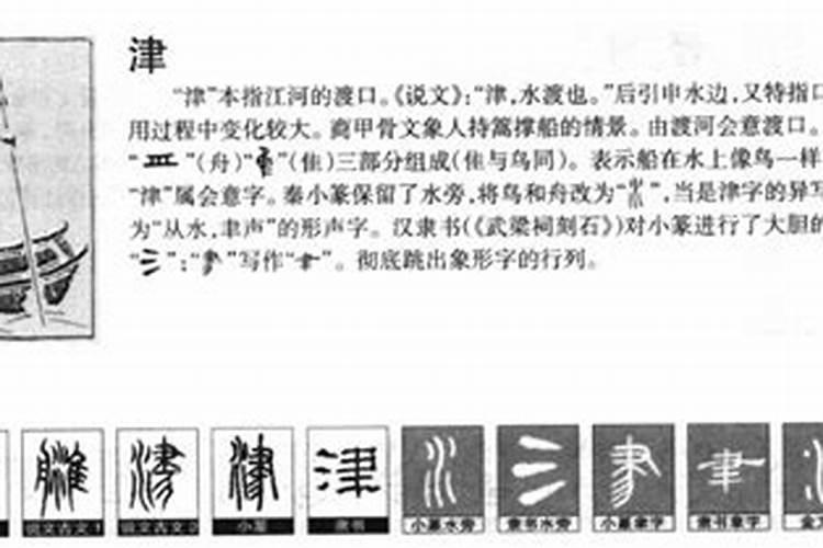 津字五行属什么