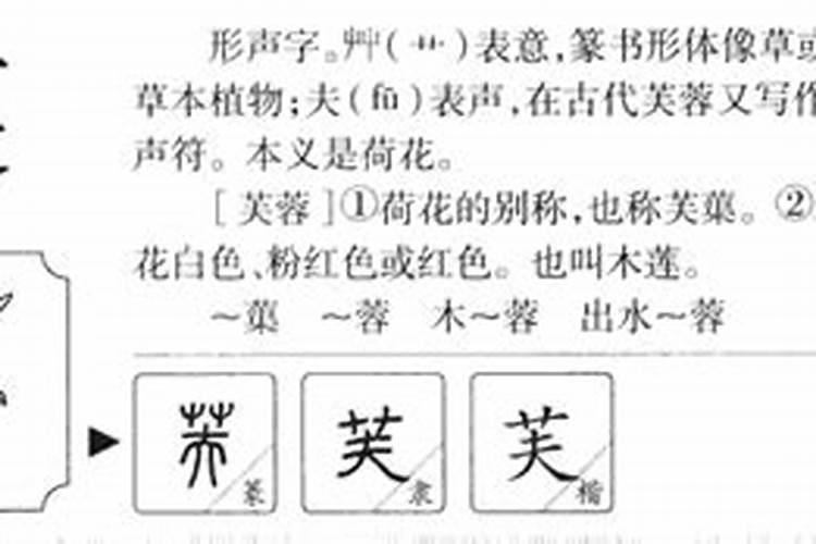 芙字的五行属什么