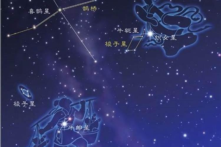 牛郎星属于哪个星座