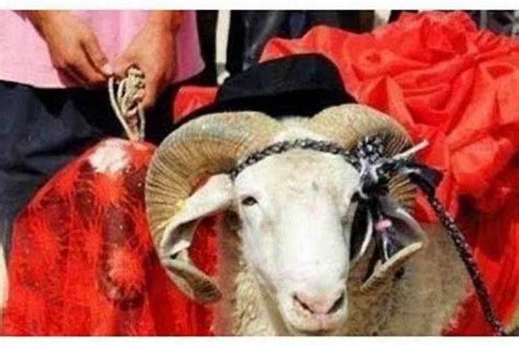 不能娶属羊的女性结婚吗