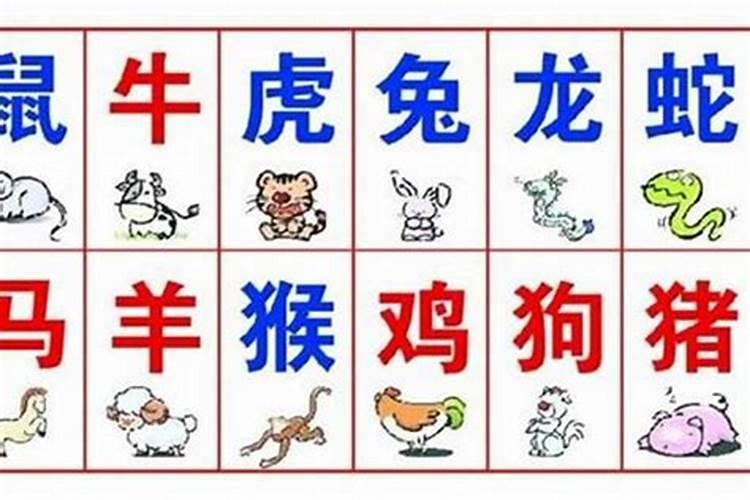 平字解什么生肖