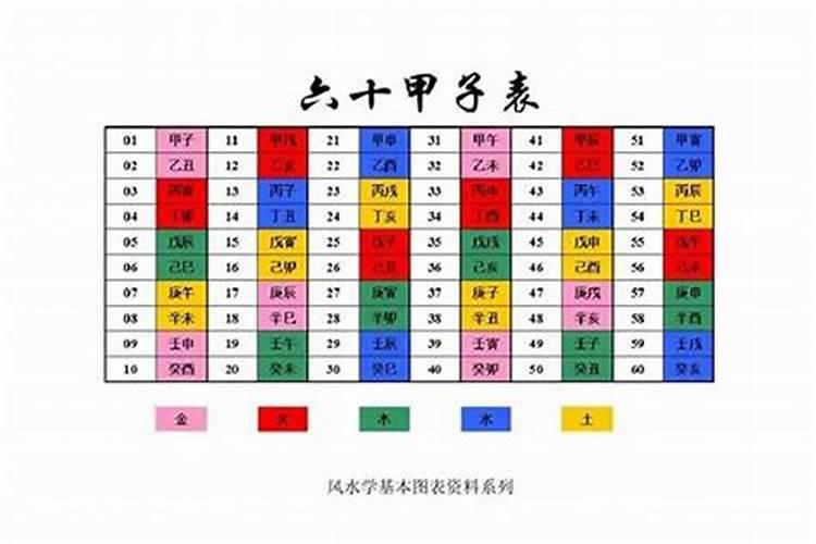 亥的五行属什么