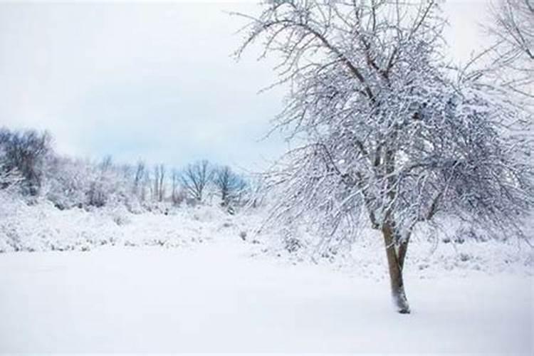 梦见下雪什么意思,现在是8月